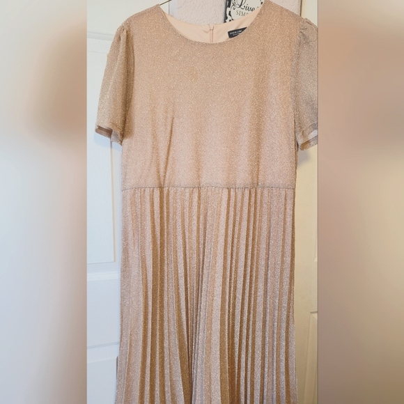 Plus size Glitter Pleated Dress Long 3XL - Picture 5 of 12